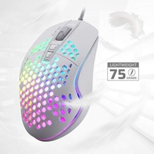 LTC Circle Pit HM-001 RGB Gaming Mouse with Lightweight Honeycomb Shell, Adjusted 6400DPI, 6 Programmable Buttons,White